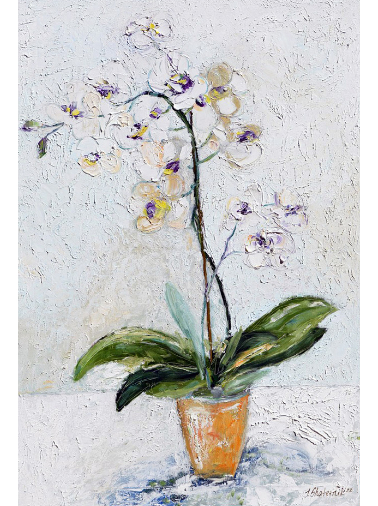 image_2024_02_05T07_18_58_933Z (2)7